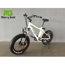 New Design 36V 350W 20inch Fat Tire Unfoldable Adults Electric Bike